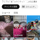 YouTubeを始めました。